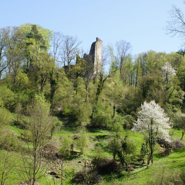 Ruine Neuburg bei Mammern