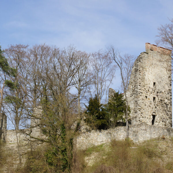 Ruine Neuburg bei Mammern