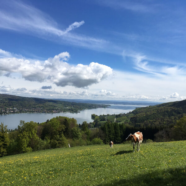 Blick von der Hochwacht