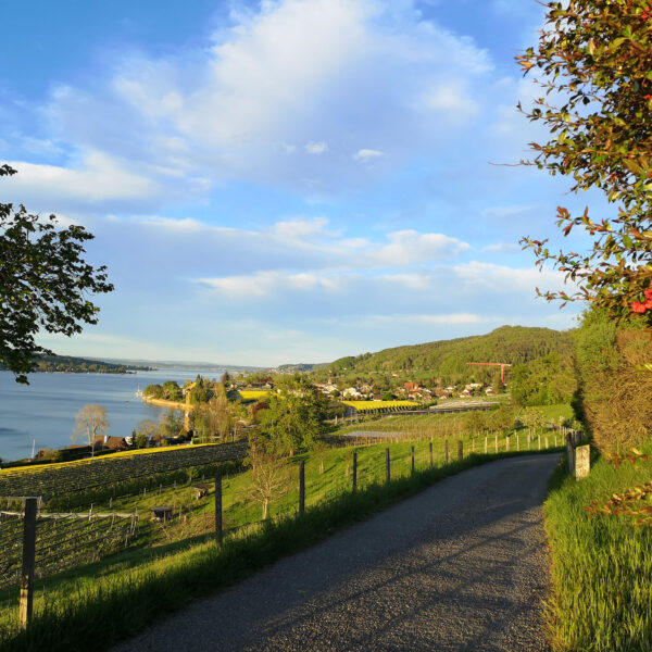 Blick von Osten Richtung Mammern
