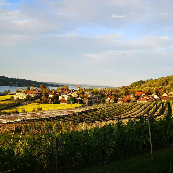 Blick von Osten Richtung Mammern