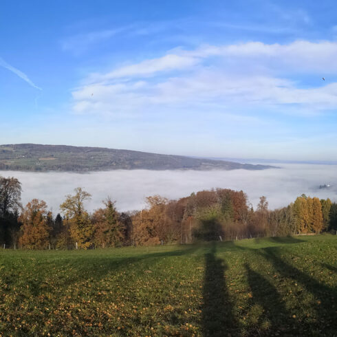 Fernsicht von der Hochwacht